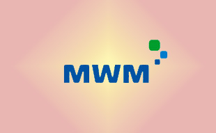 ✓ MWM 0338 7802 Запчасть MWM 